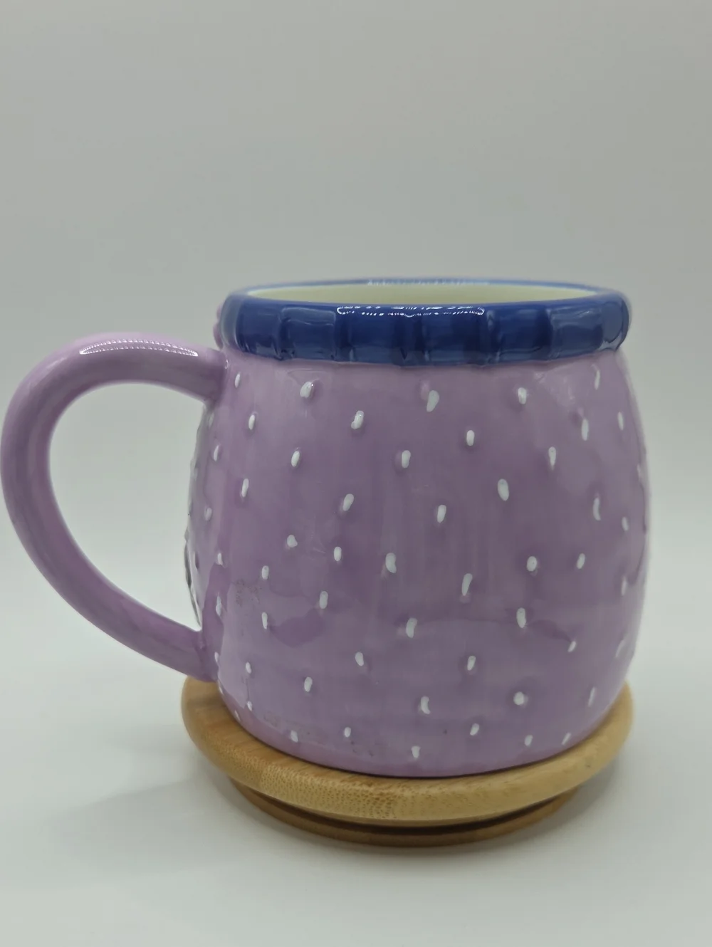 Sur La Table Lavender Owl Ceramic Mug 3D Effecr